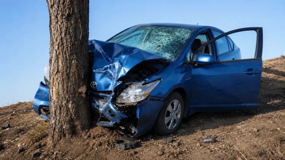A blue car stopped by a tree instead of by its brakes